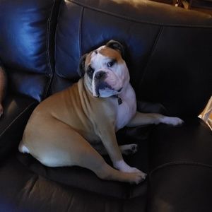 Meet your Posher, Darcey